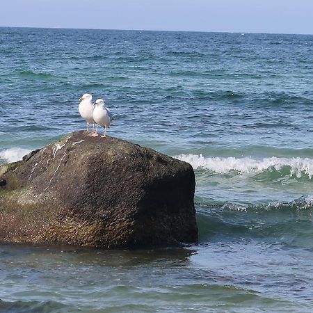 Fewowiek39 Wiek auf Rügen Zewnętrze zdjęcie