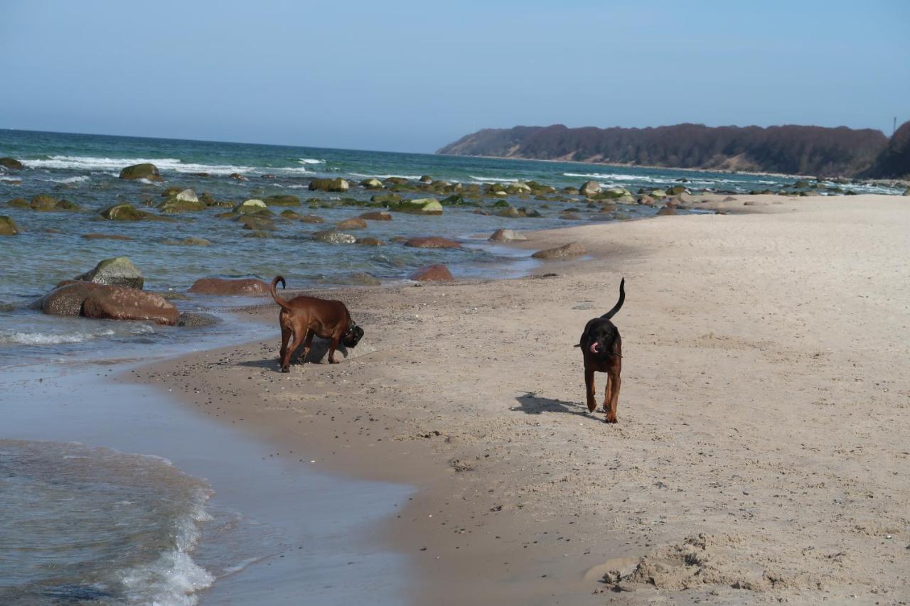 Fewowiek39 Wiek auf Rügen Zewnętrze zdjęcie